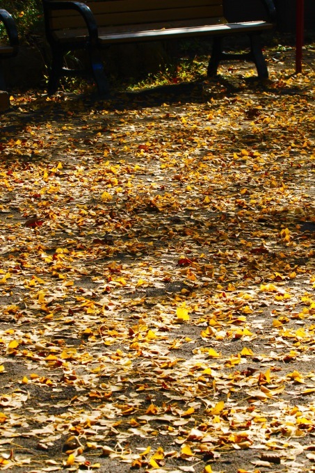 a0248459_15144743.jpg