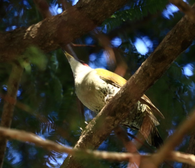 a0248459_15172720.jpg