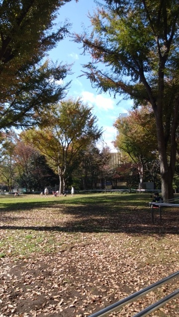 b0105259_11041480.jpg
