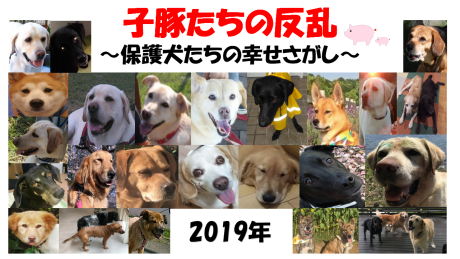 子豚組カレンダーを作って頂きました!!!\(^o^)/_c0372561_00154374.png