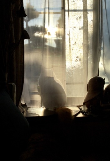a0053063_08414479.jpeg