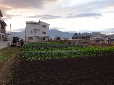 d0074063_07495510.jpg