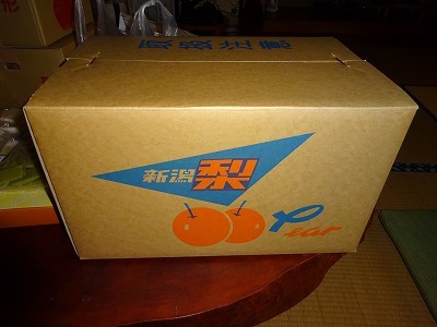 d0074063_07501338.jpg
