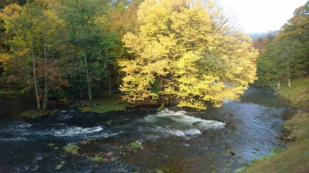 e0081170_21233918.jpg