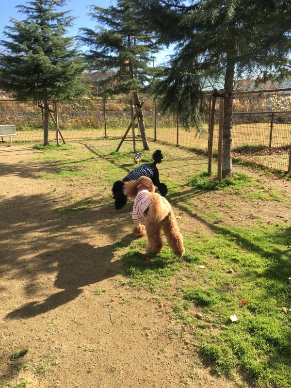 c0283778_13434578.jpeg