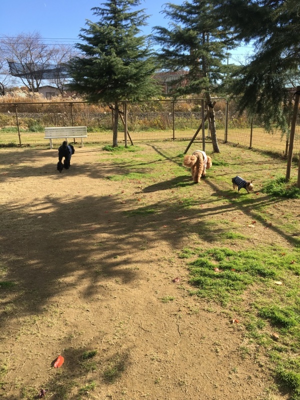 c0283778_13451384.jpeg