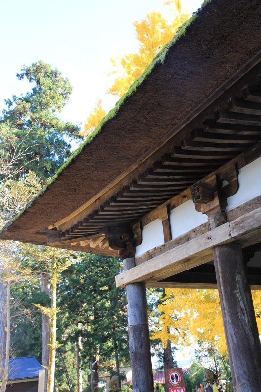 c0283778_13550110.jpeg