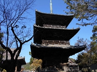 f0222378_9385130.jpg