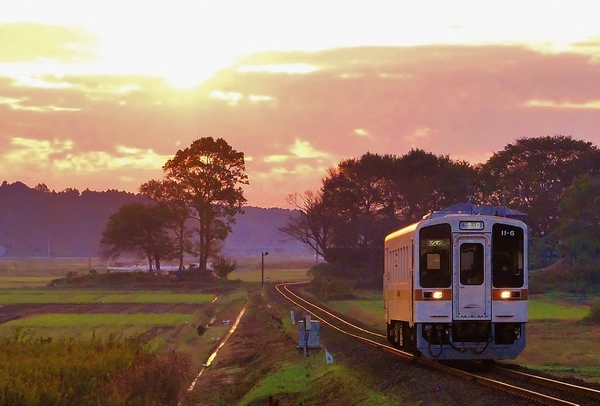 ひたちなか海浜鉄道 中根～金上_c0364180_02303845.jpg