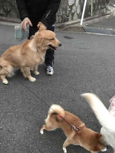 f0315081_17415895.jpeg