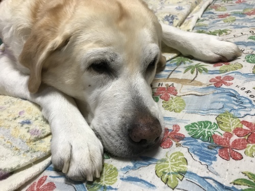 f0315081_17450162.jpeg