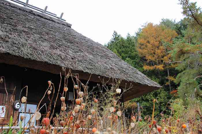 いやしの里　根場（11月7日）_d0381582_15365904.jpg