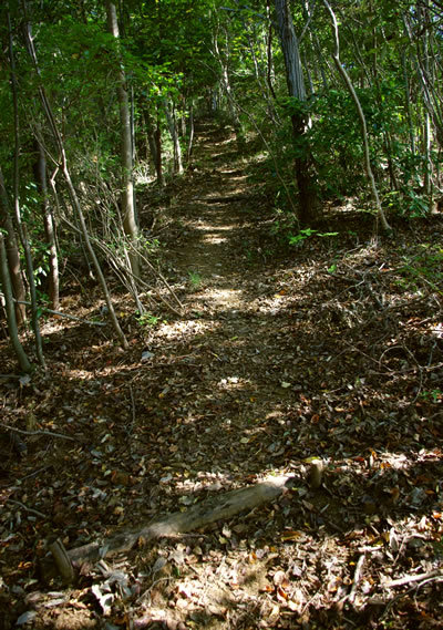 b0123486_08033770.jpg