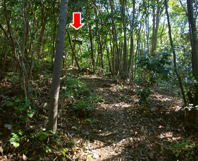 b0123486_08144350.jpg
