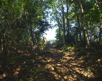 b0123486_08343153.jpg