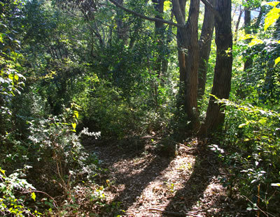 b0123486_09411720.jpg