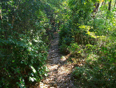 b0123486_09452479.jpg