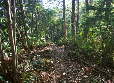 b0123486_09512608.jpg