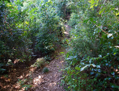 b0123486_09541027.jpg