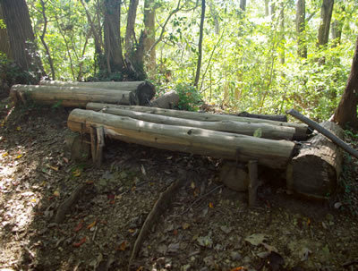 b0123486_11065403.jpg