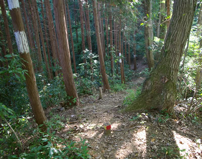 b0123486_12011415.jpg