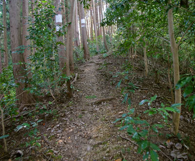 b0123486_12033885.jpg