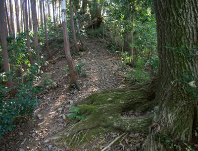 b0123486_12104272.jpg