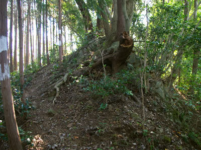 b0123486_13243571.jpg