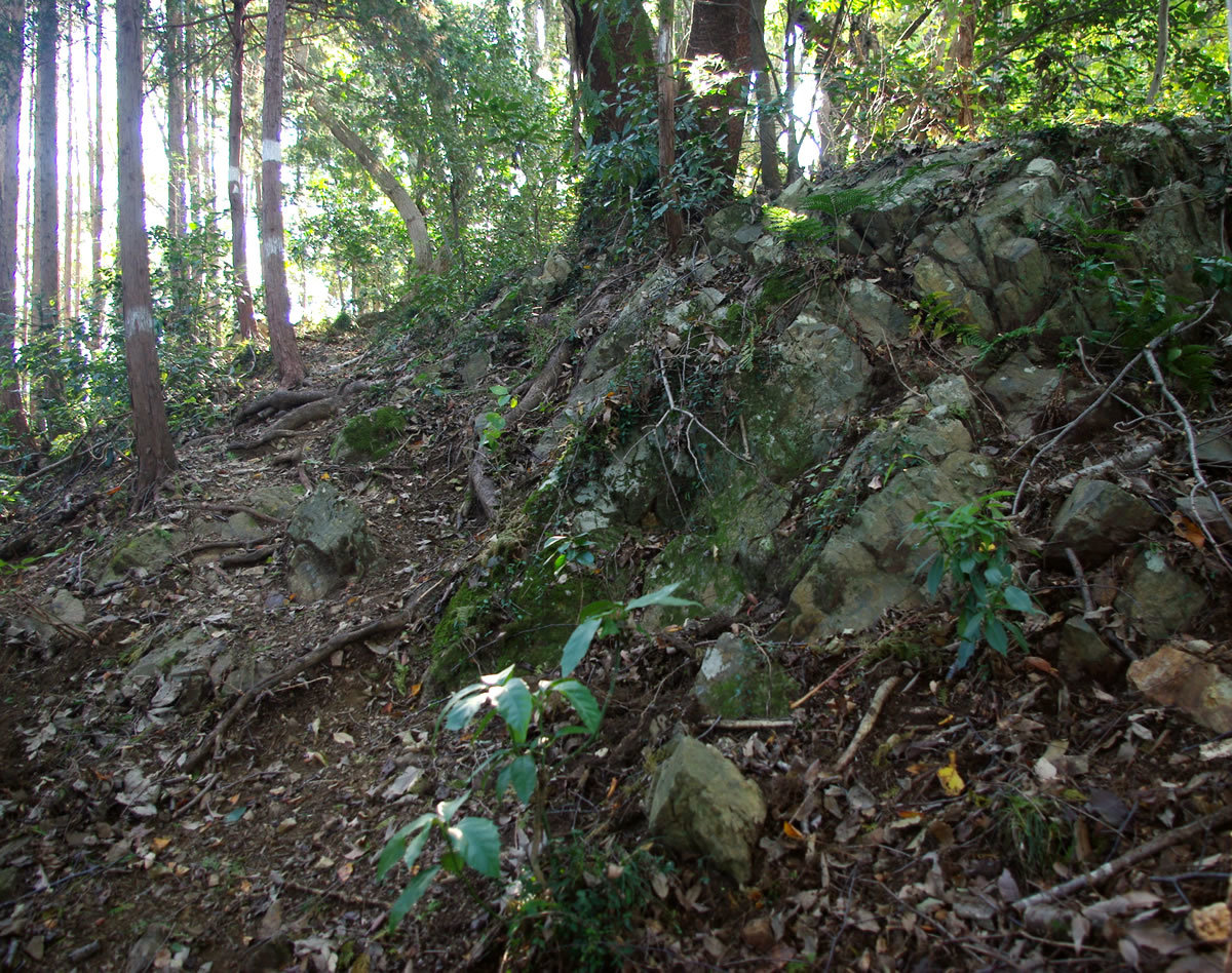 b0123486_13291810.jpg