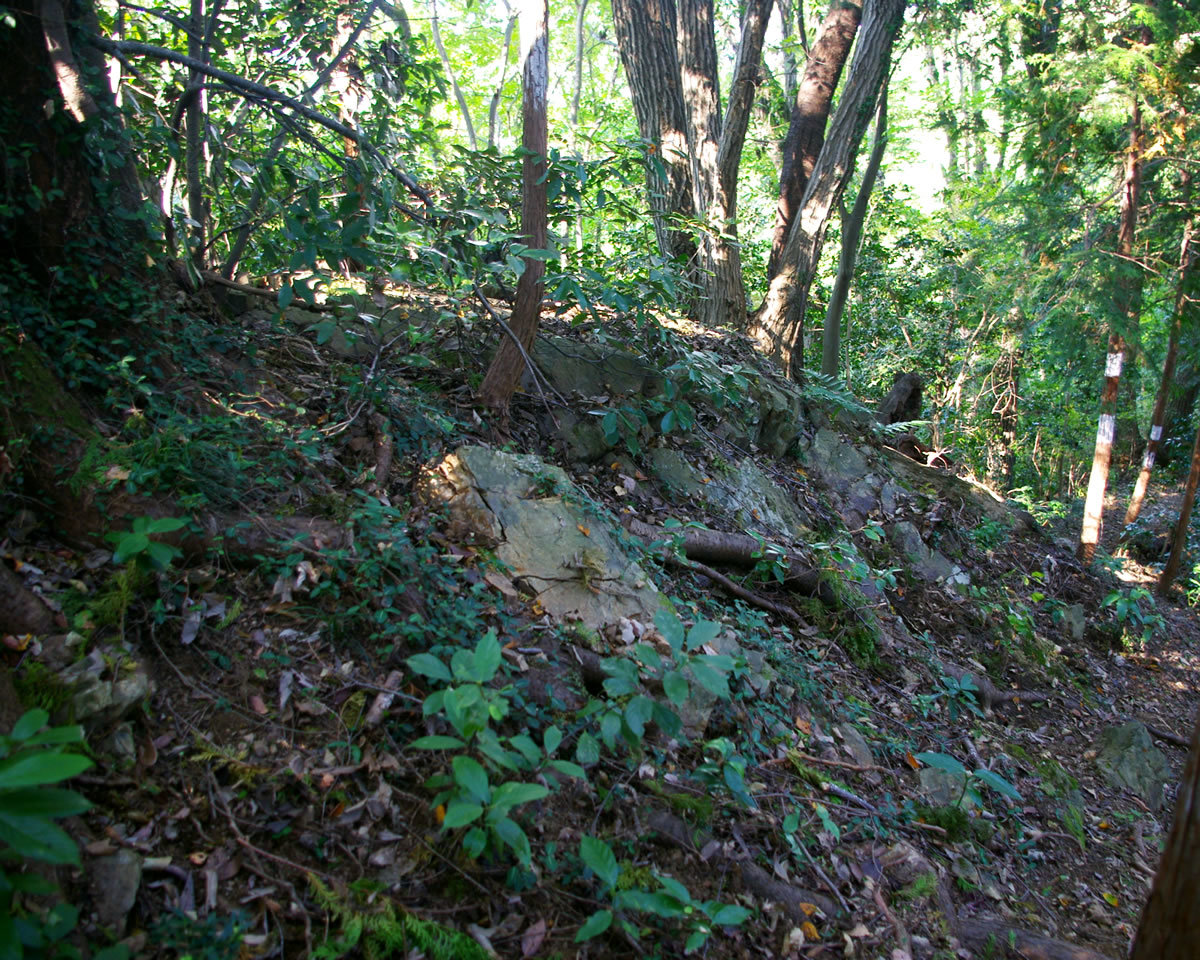 b0123486_13325793.jpg