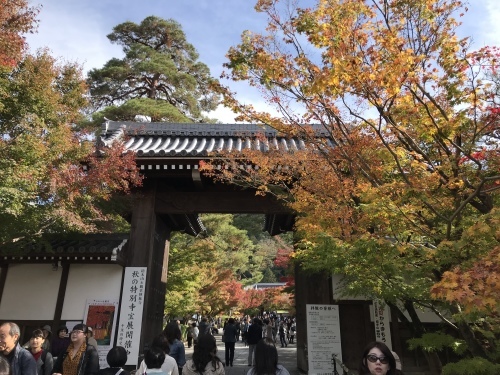 c0340786_21541883.jpeg