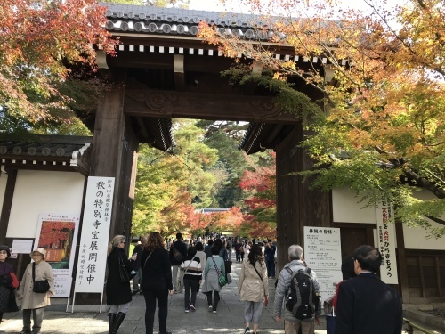 c0340786_21543359.jpeg