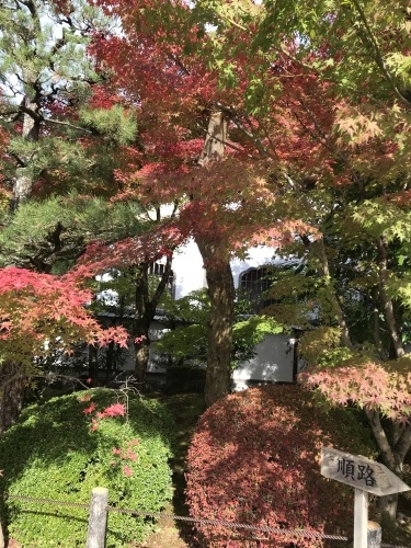 c0340786_21554790.jpeg