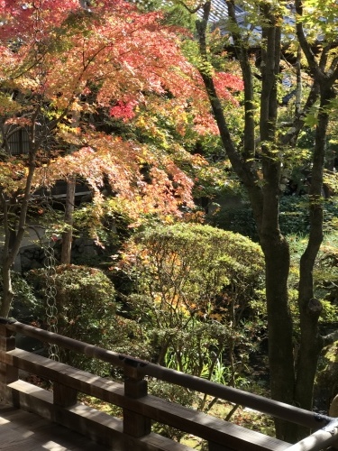 c0340786_21571934.jpeg