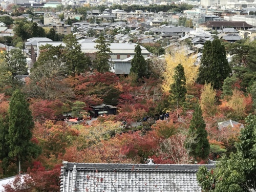 c0340786_21590190.jpeg