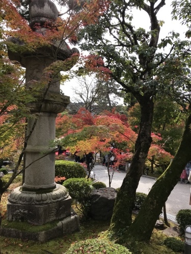 c0340786_21592978.jpeg