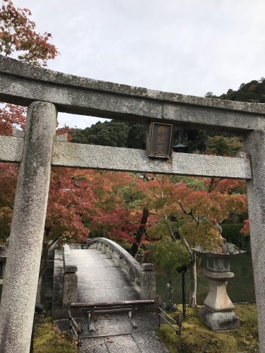 c0340786_21594347.jpeg