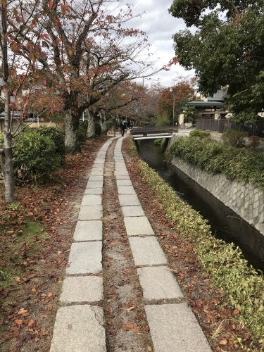 c0340786_22242004.jpeg
