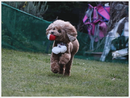 b0175688_01090510.gif