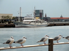 b0192588_7565463.jpg