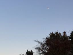 f0130894_23421308.jpg