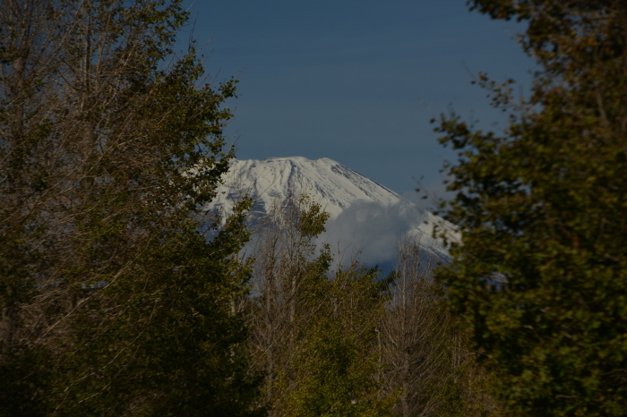 f0268294_13124444.jpeg