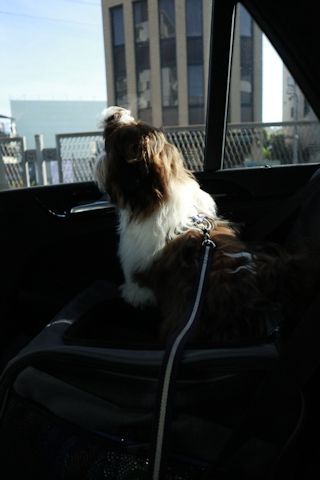 c0090198_19040074.jpg