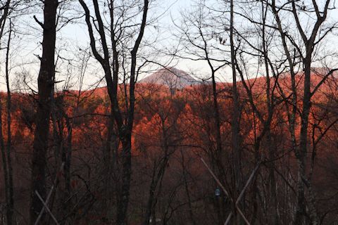 c0090198_19103396.jpg