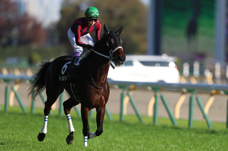 2018年11月17日　東京スポーツ杯2歳S(GⅢ) &告知_f0204898_18174387.jpg