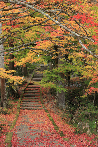 山里のお寺_e0308105_20082993.jpg