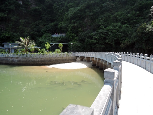 f0373905_12583985.jpg