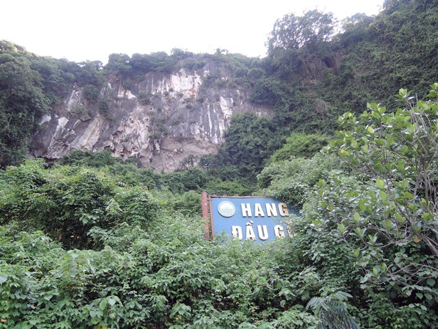 f0373905_13031023.jpg