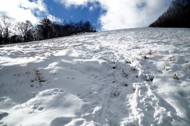 2018年11月17日(土)　　 手稲山(標高1023m) スキー場コース_a0345007_920201.jpg