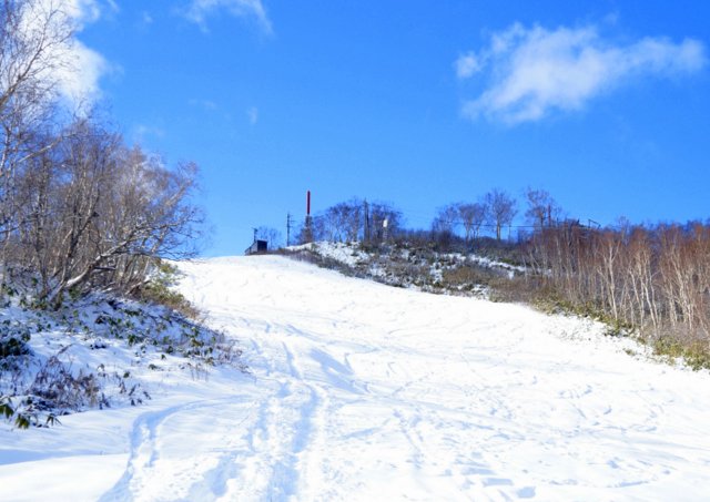 2018年11月17日(土)　　 手稲山(標高1023m) スキー場コース_a0345007_921492.jpg